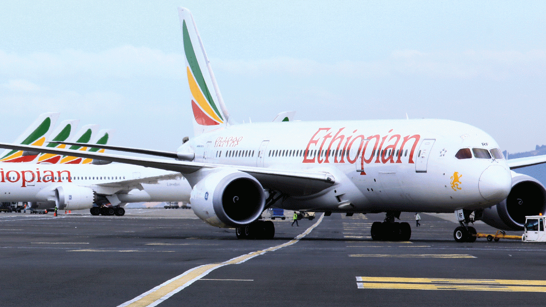 Ethiopian Airlines: скидки на перелеты в Африку до 50%